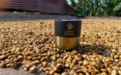 July 18 and 25 Single Origin Selection is….