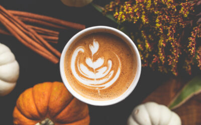 Fall Specials Are HERE!